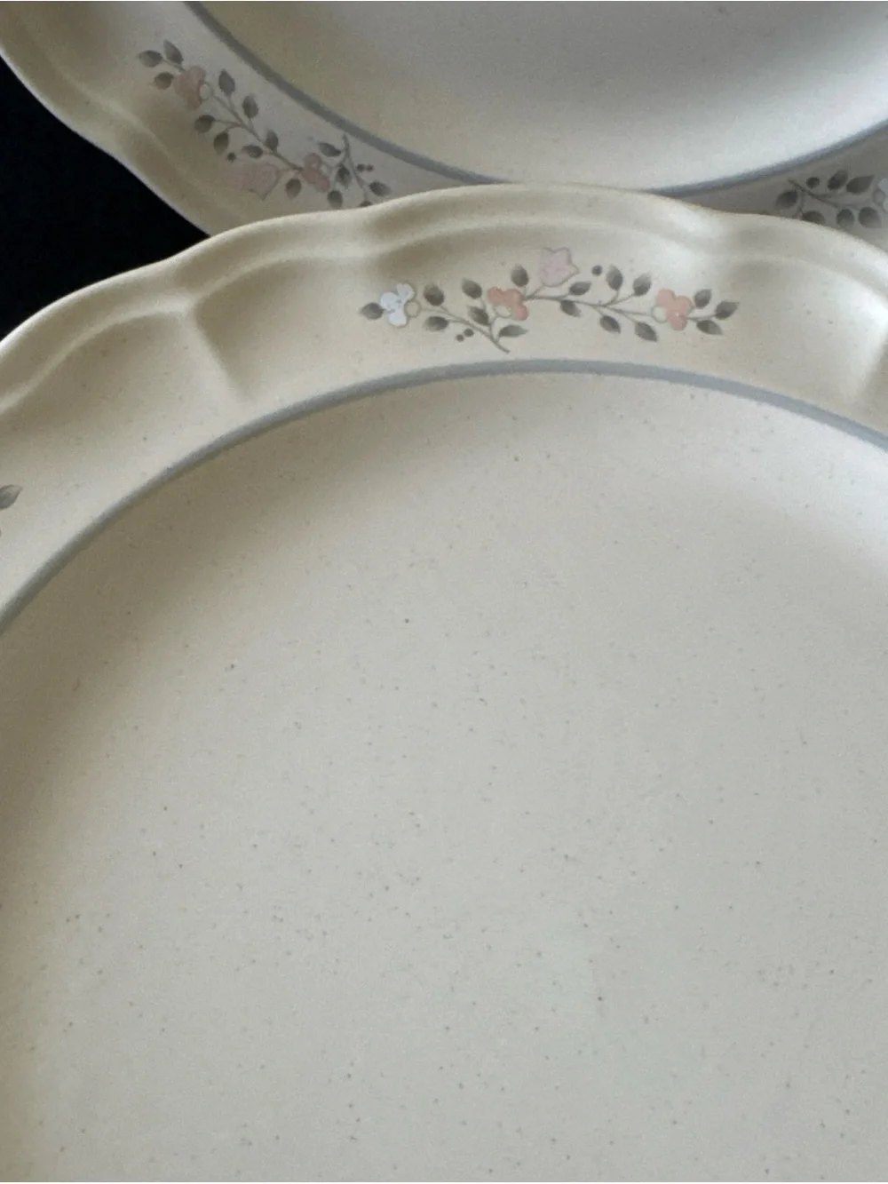 Pfaltzgraff Remembrance USA Stoneware 10.25